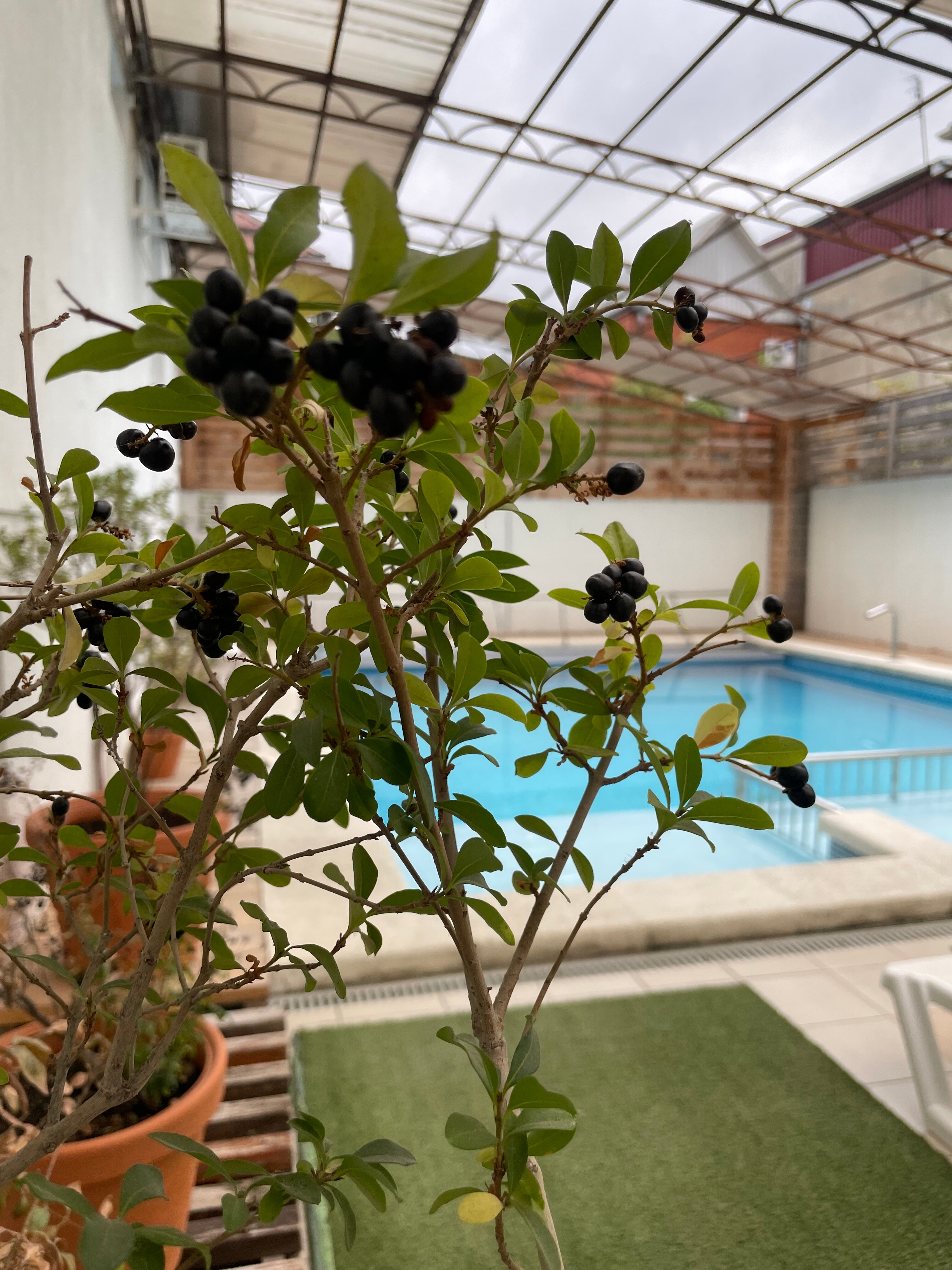 Фото Гармония