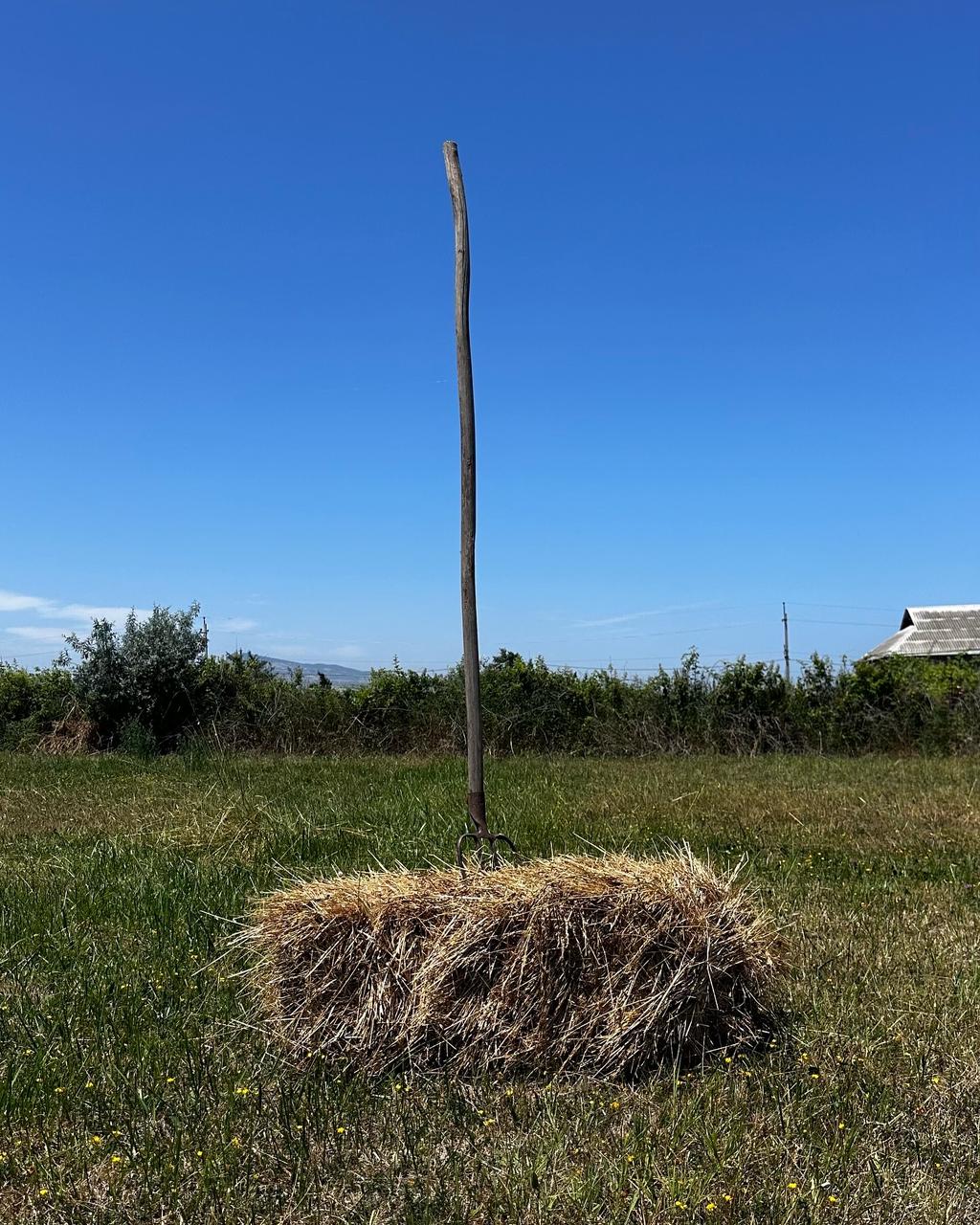 Фото Дом в Авадане