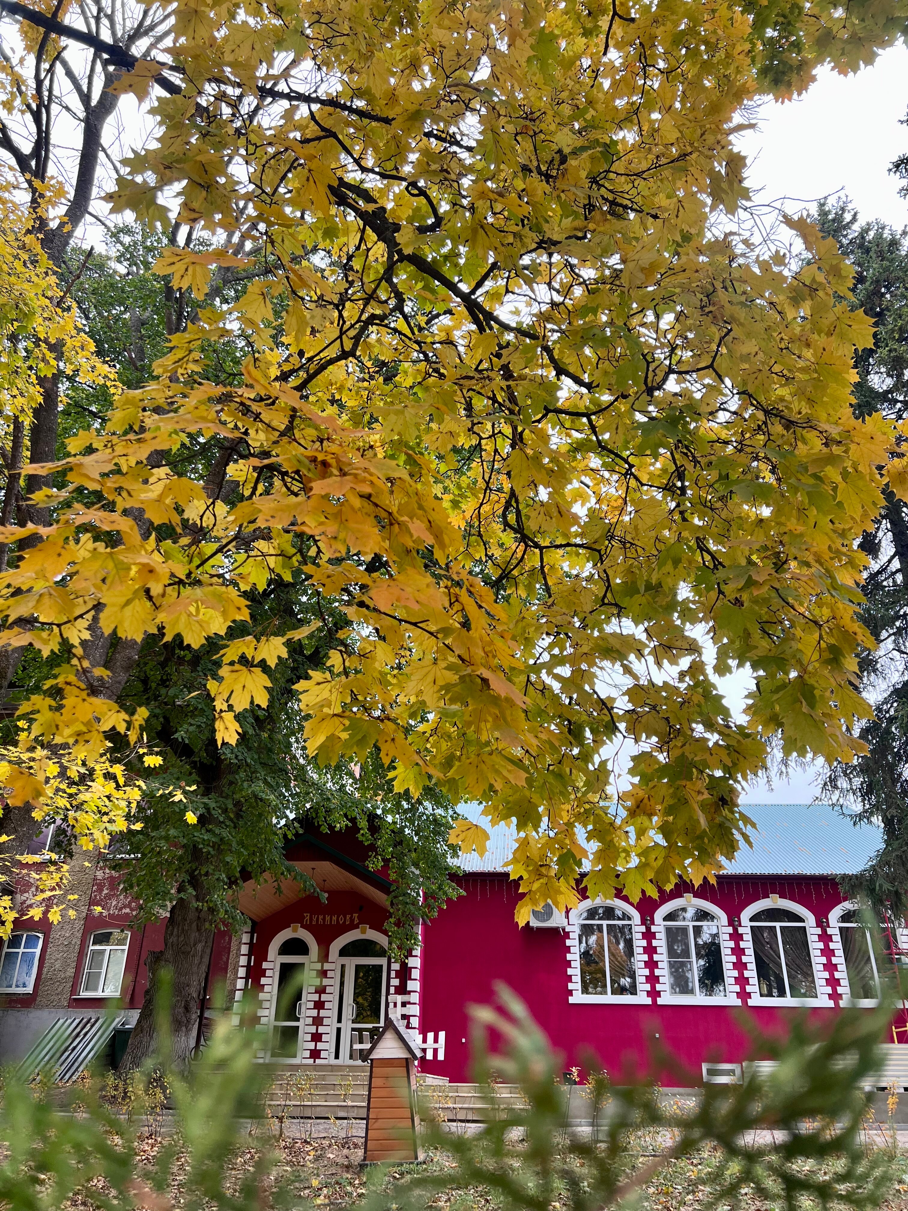 Фото отеля 4