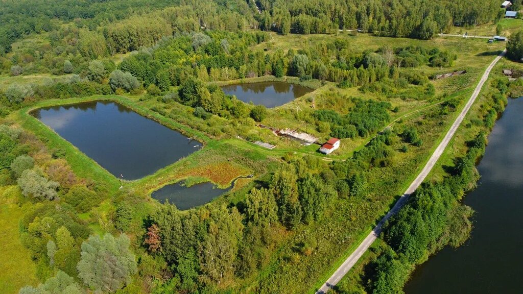 Рыбное хозяйство, рыбоводство Чижково, Нижегородская область, фото