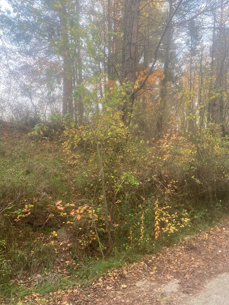 ATM Sberbank, Sochi, photo