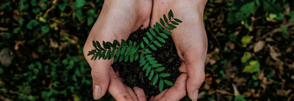 Environmental organization Ajaz Environment Consultants, Sharjah, photo