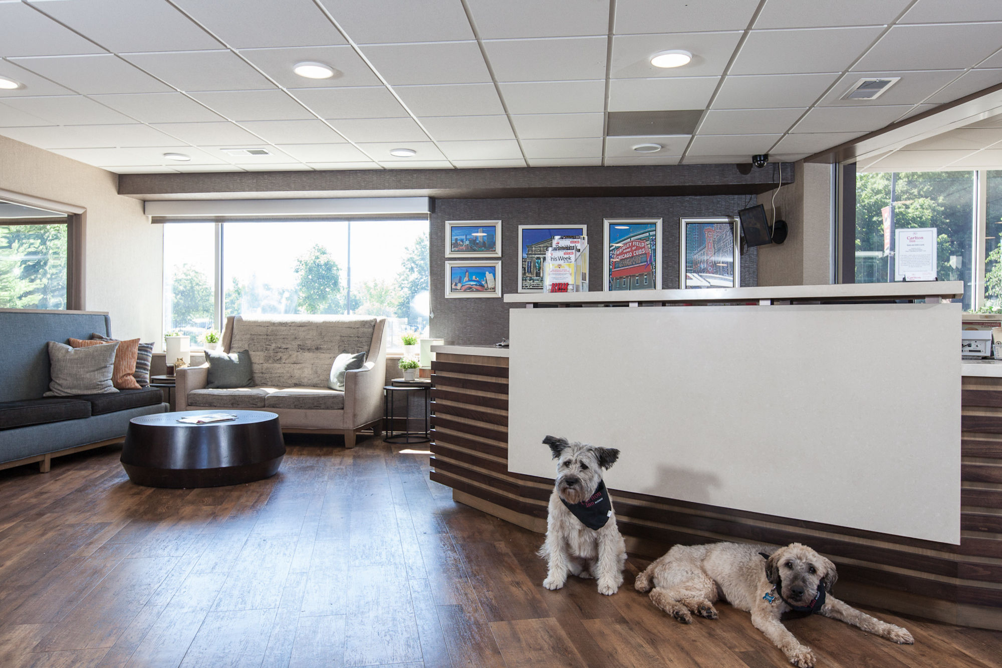 Фото отеля 4