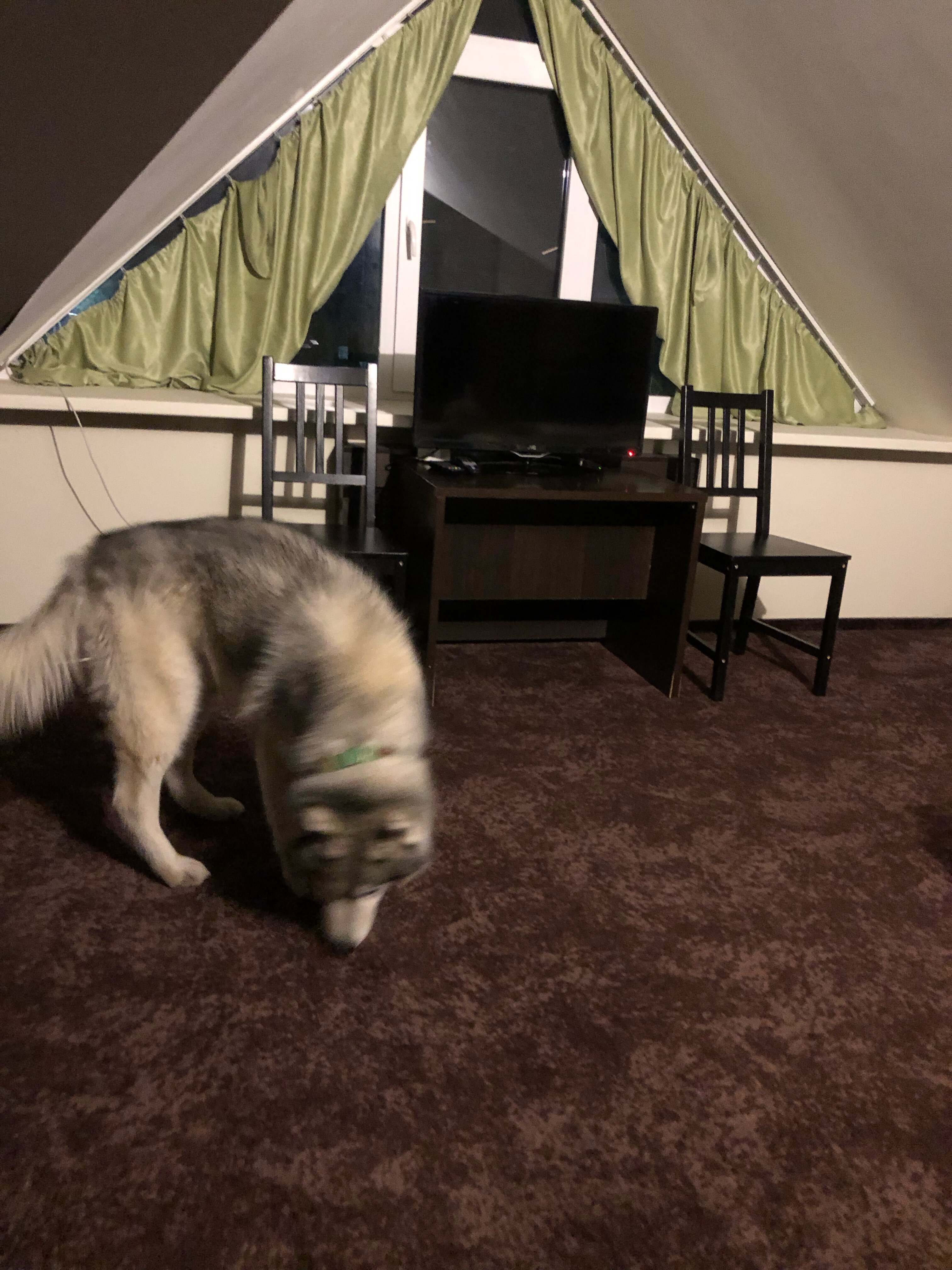 Фото Мельница