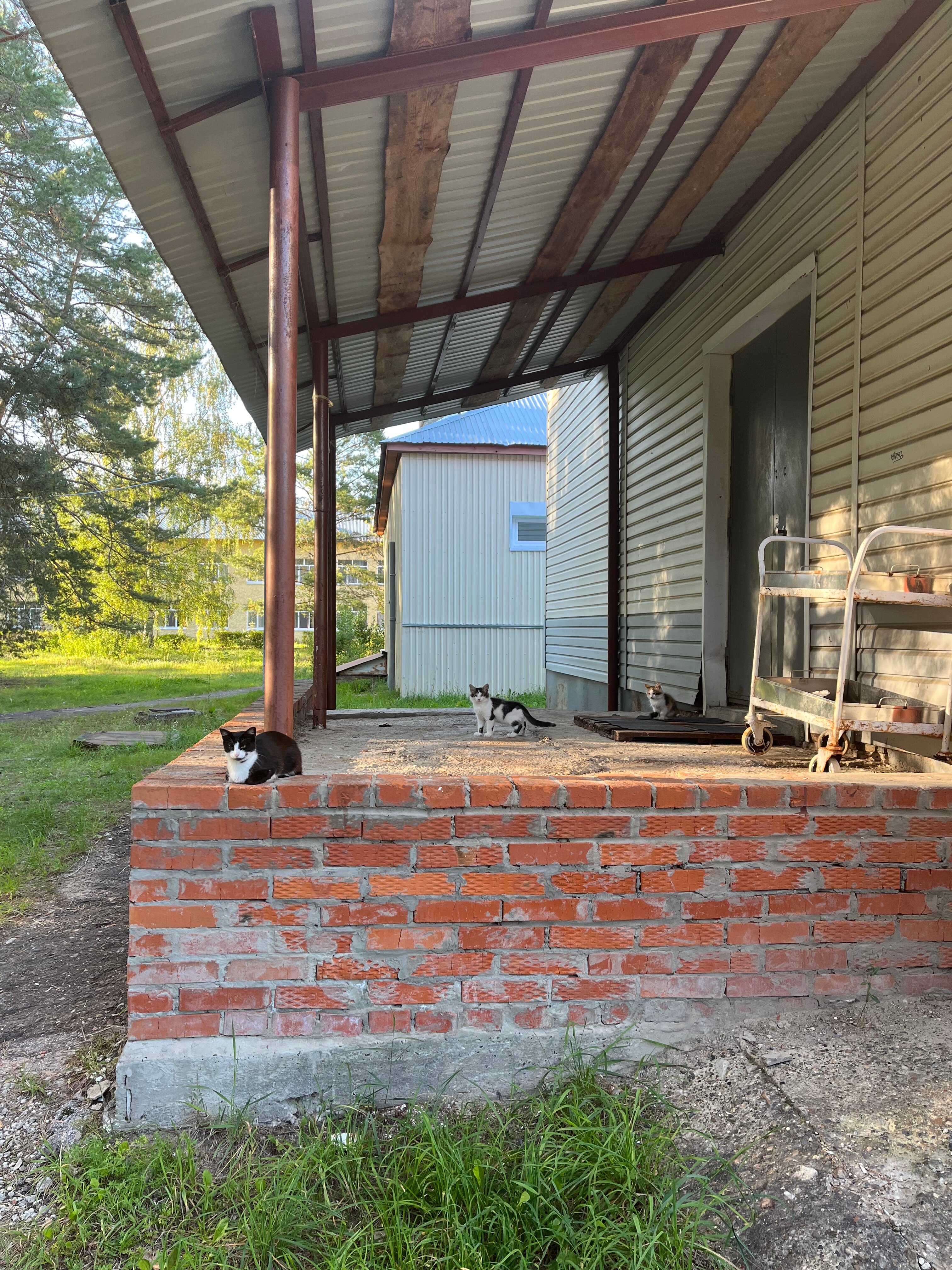 Фото Кичиер