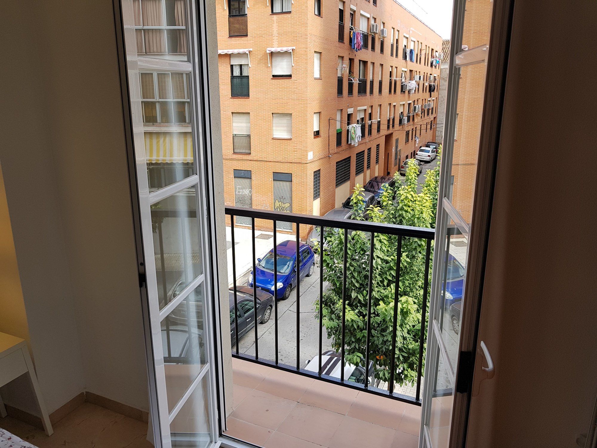 Фото Fan Flat Mariscal