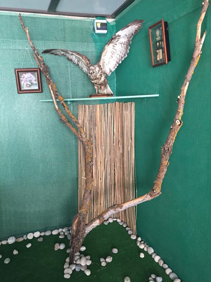 Фото Карета