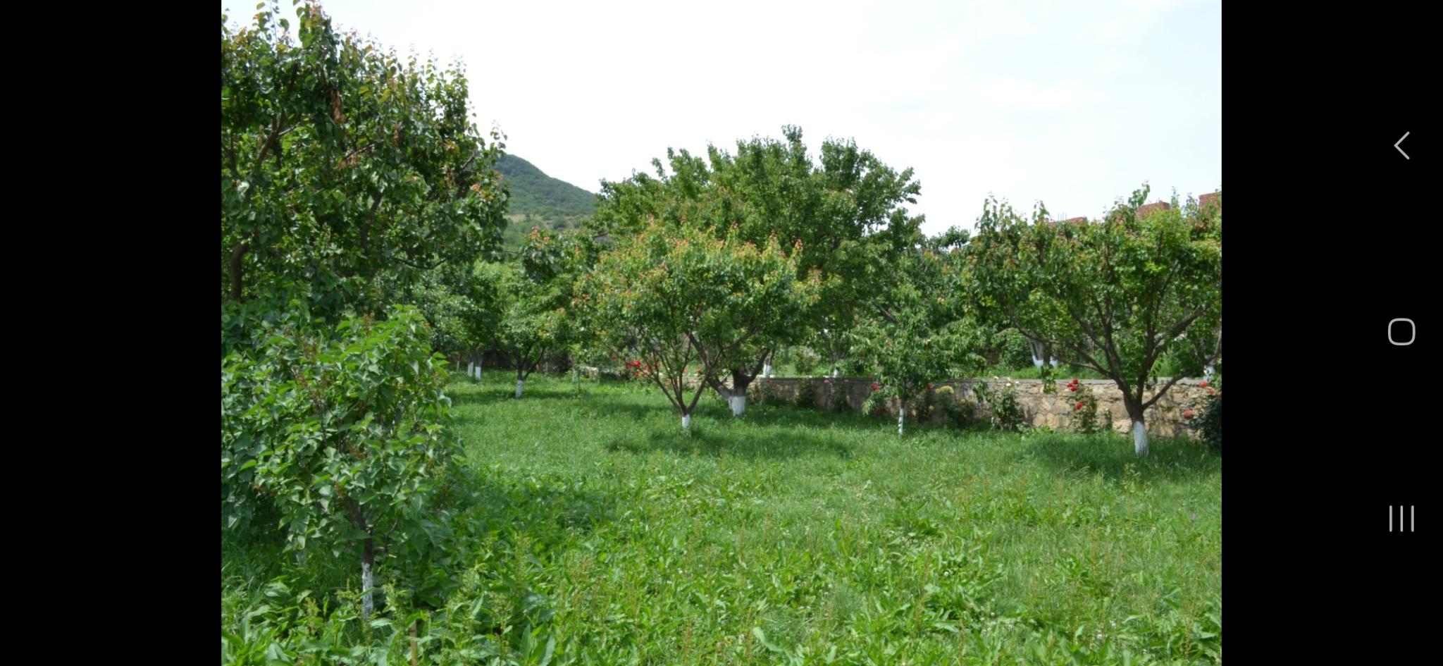 Фото В Тарках