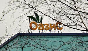 Оазис