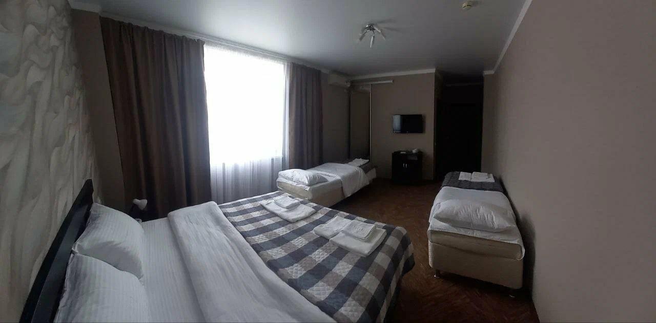 Фото Абрикос