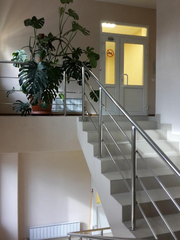 Фото Клевер