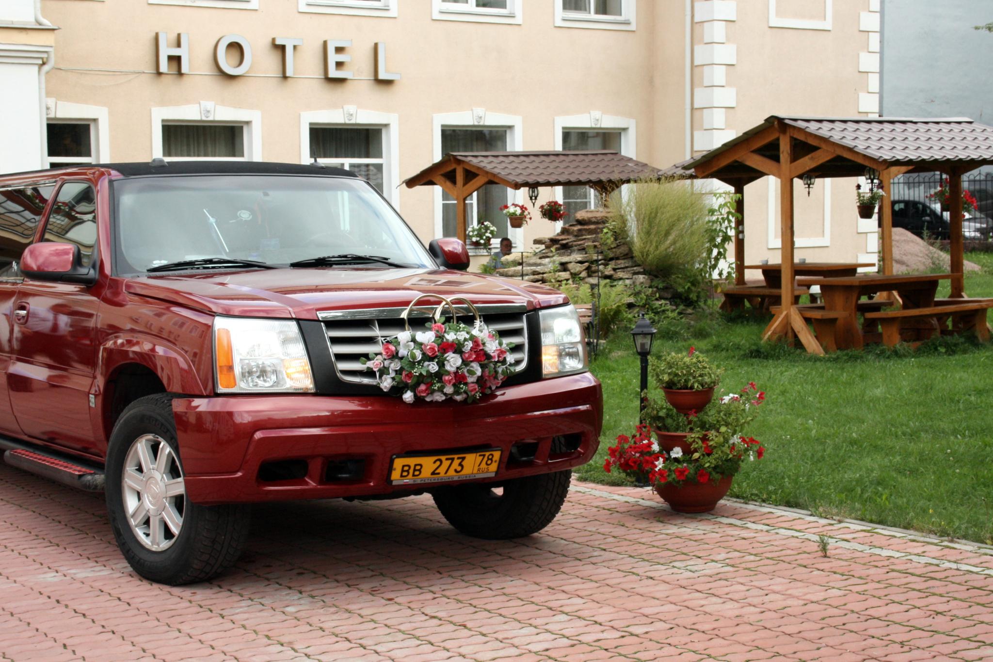 Фото Елизар