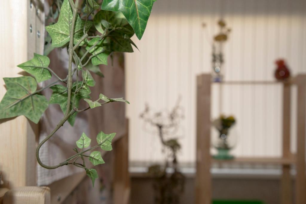 Фото Green Hostel Кузьминки