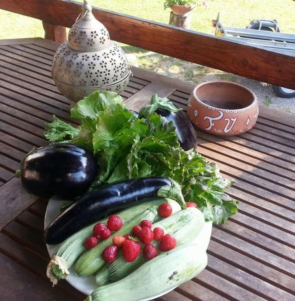 Фото Forest View B&b