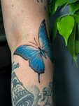 Kita tattoo (Komsomolskiy prospekt, 2), tattoo studio