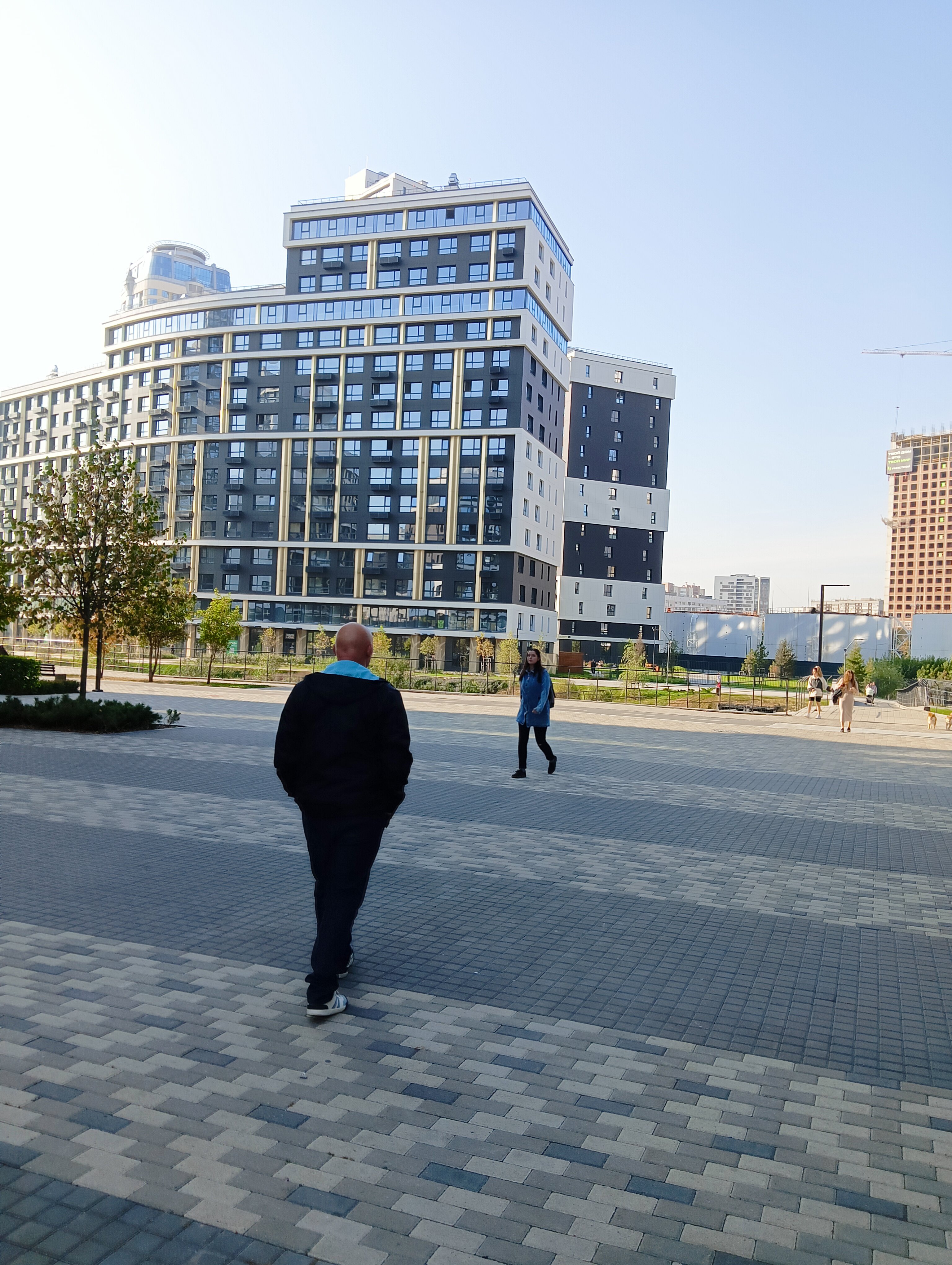 Фото Белый Клевер