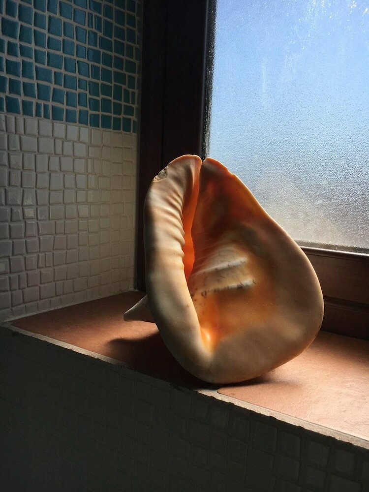 Фото Palazzo dei Corsari- Apartment