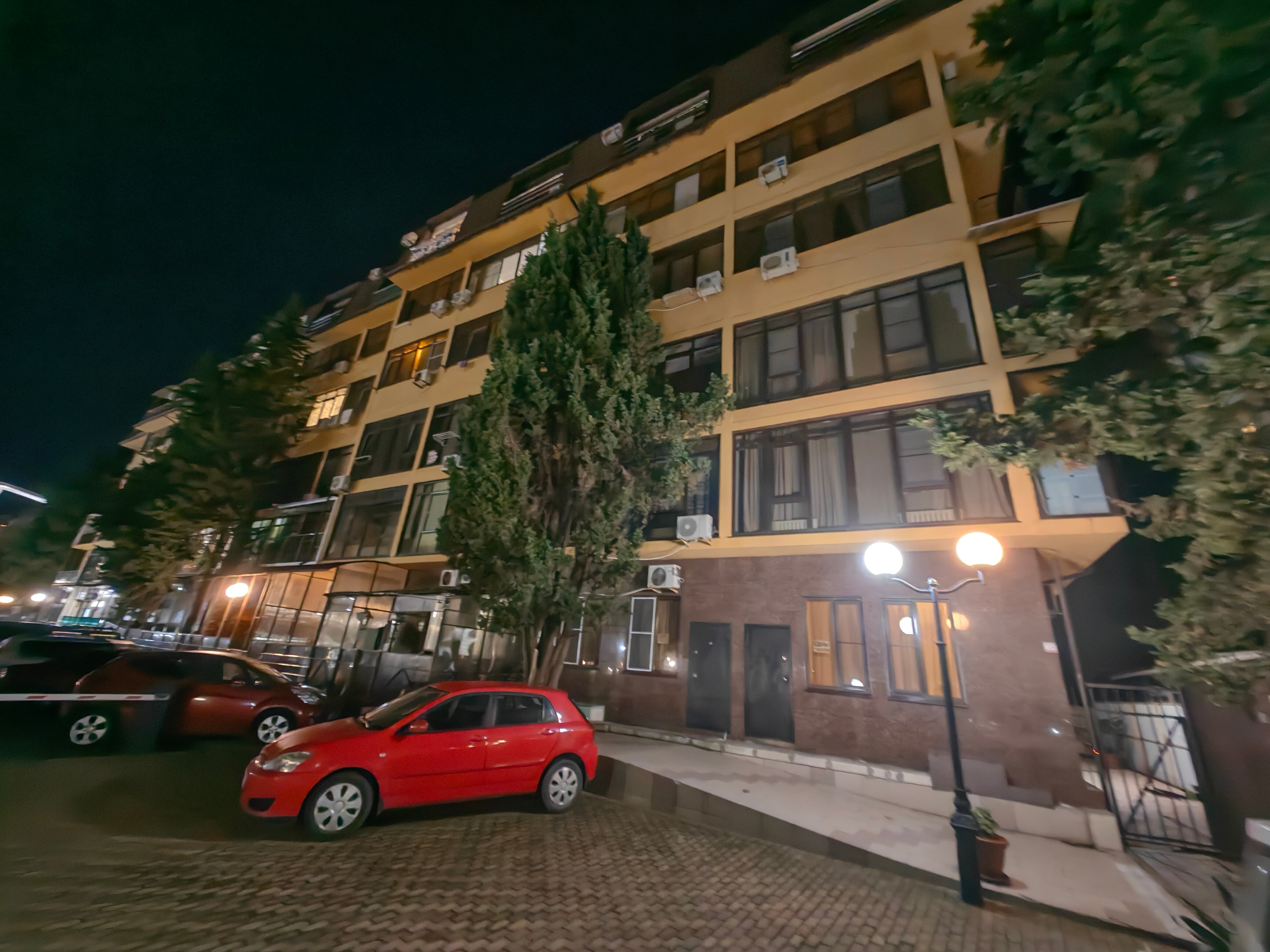 Фото Дельфин