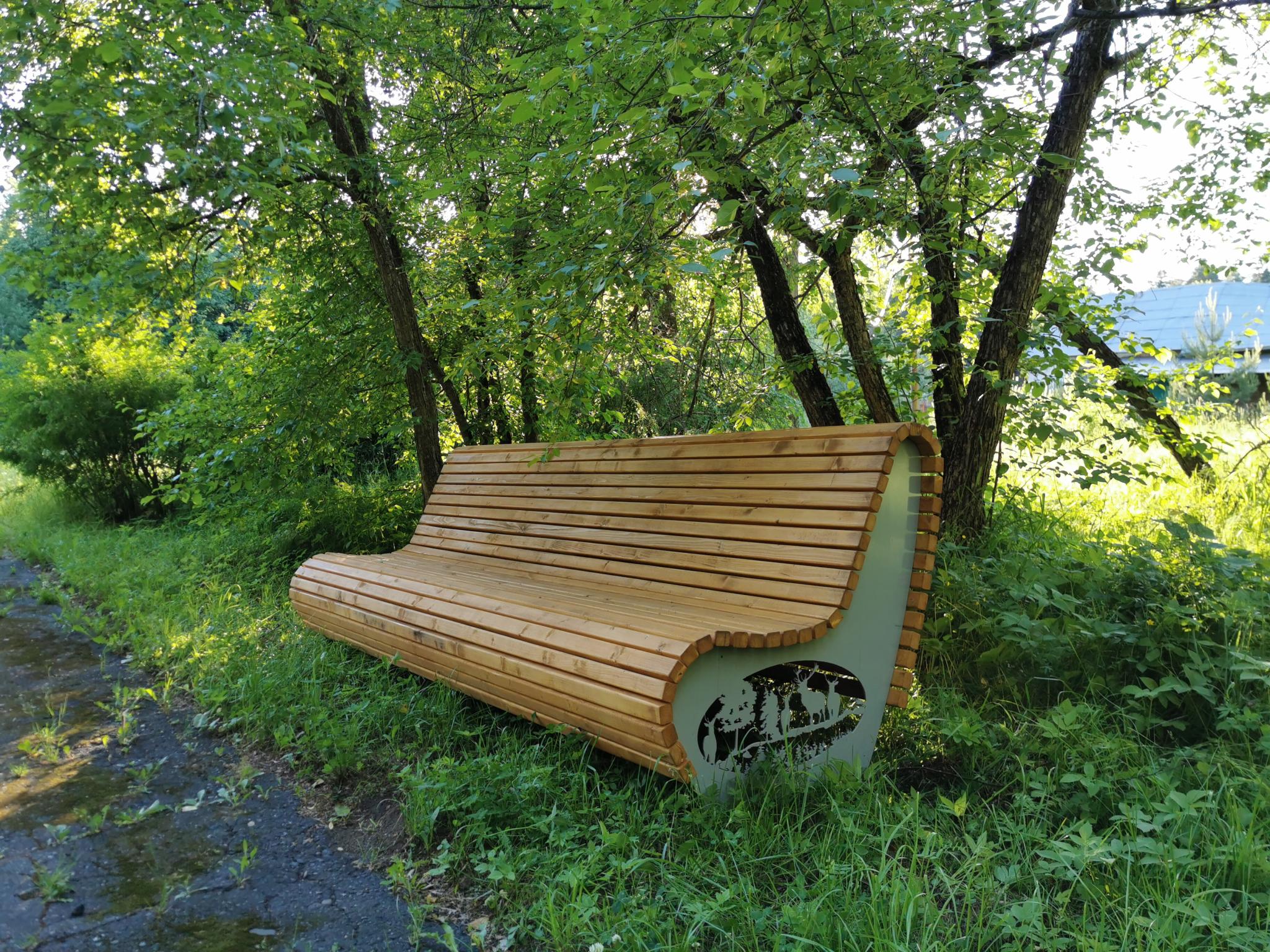 Фото Тихий Лес