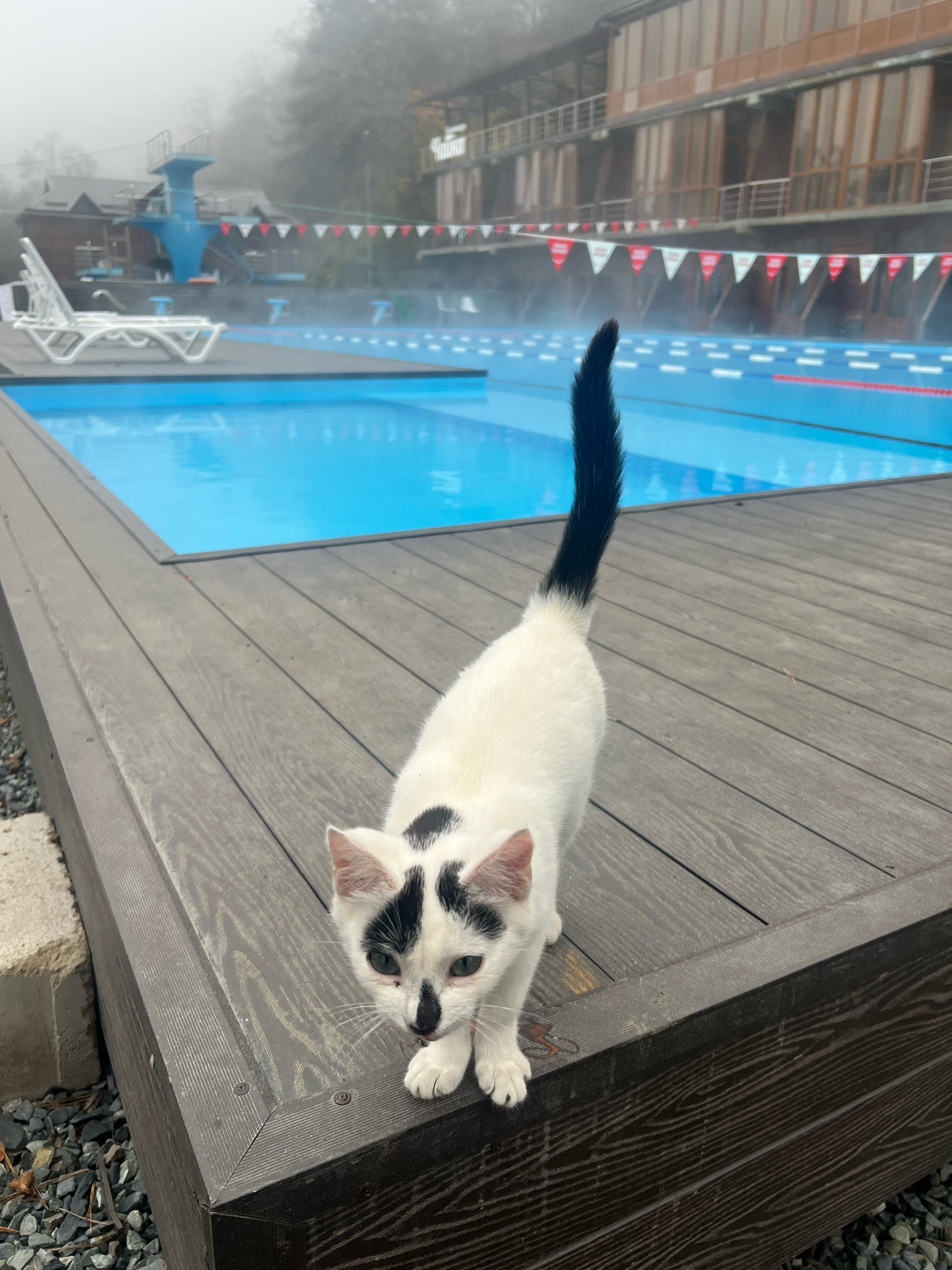 Фото Гостиница Армхи