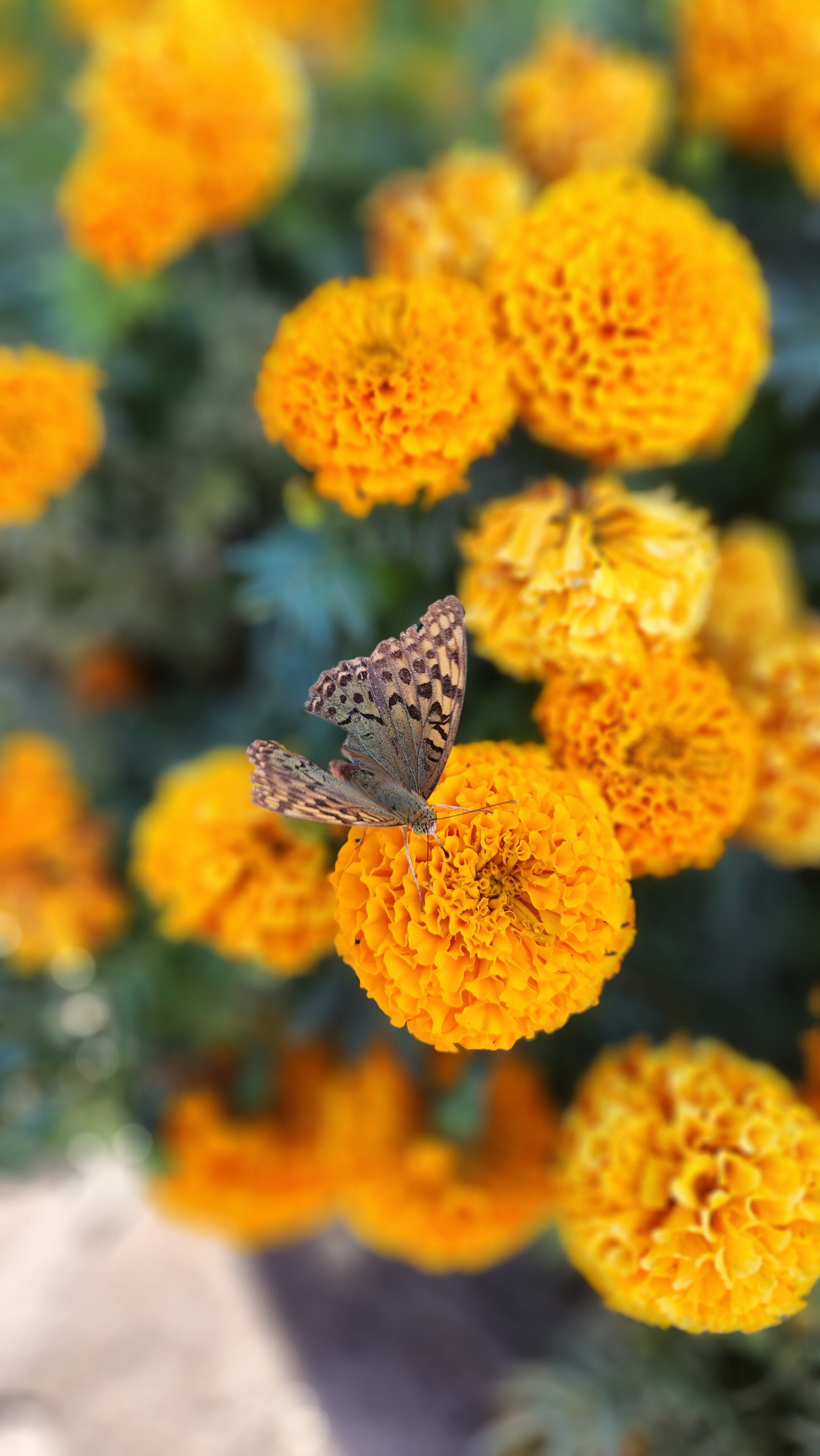 Фото Теремок