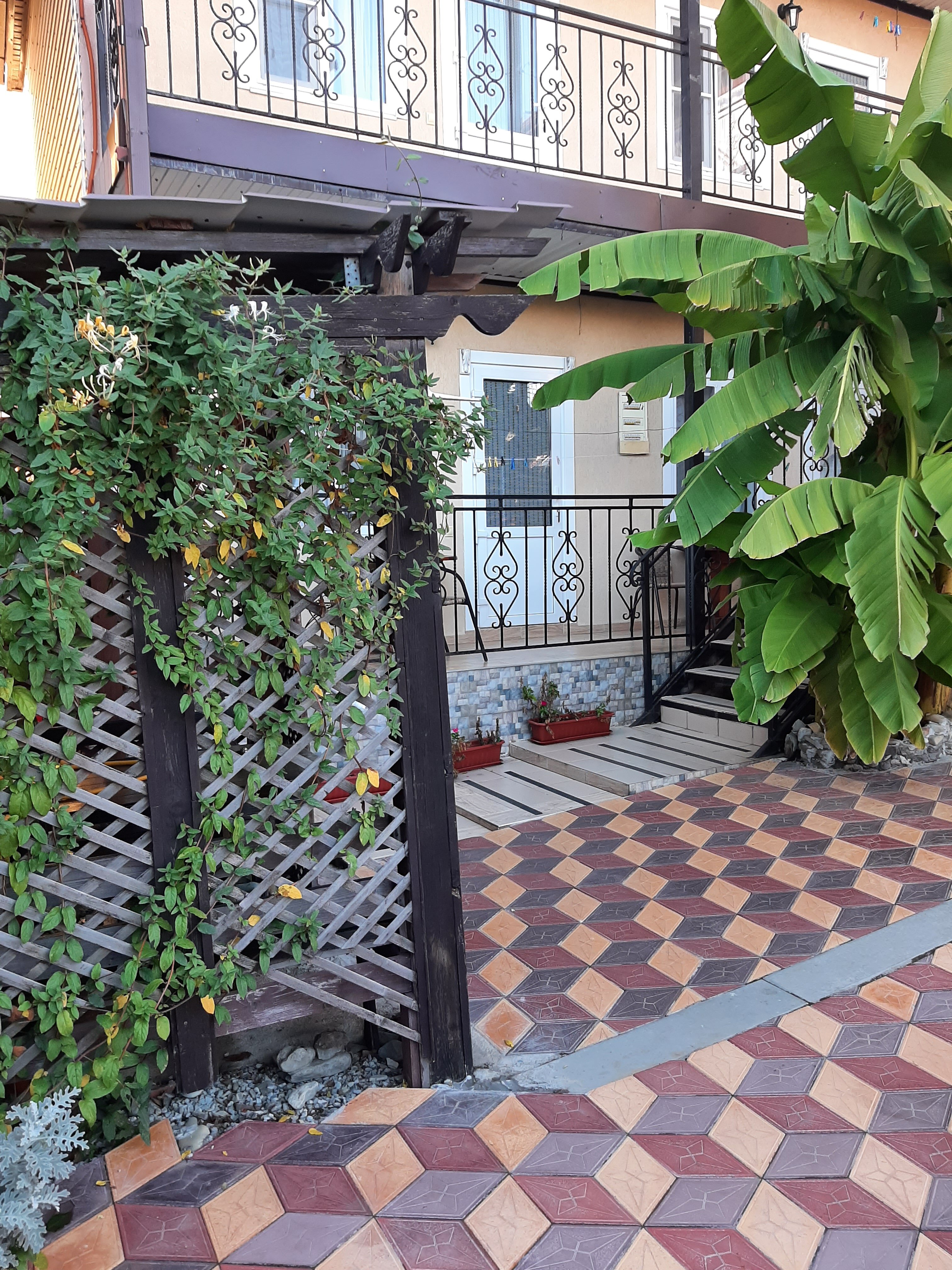 Фото Санрайз