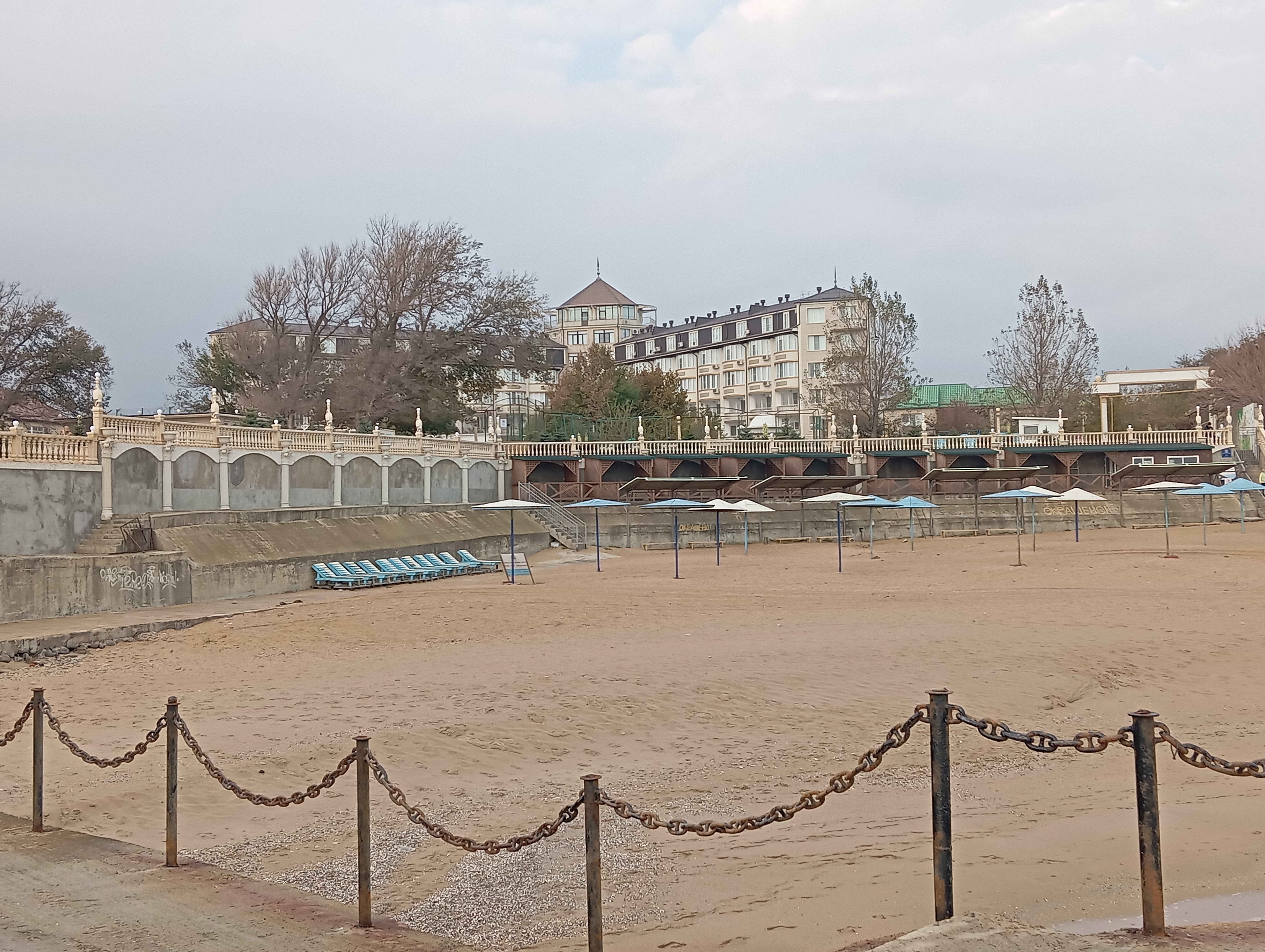 Фото Журавли