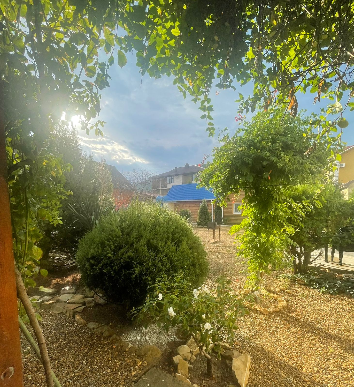 Фото Аннушка