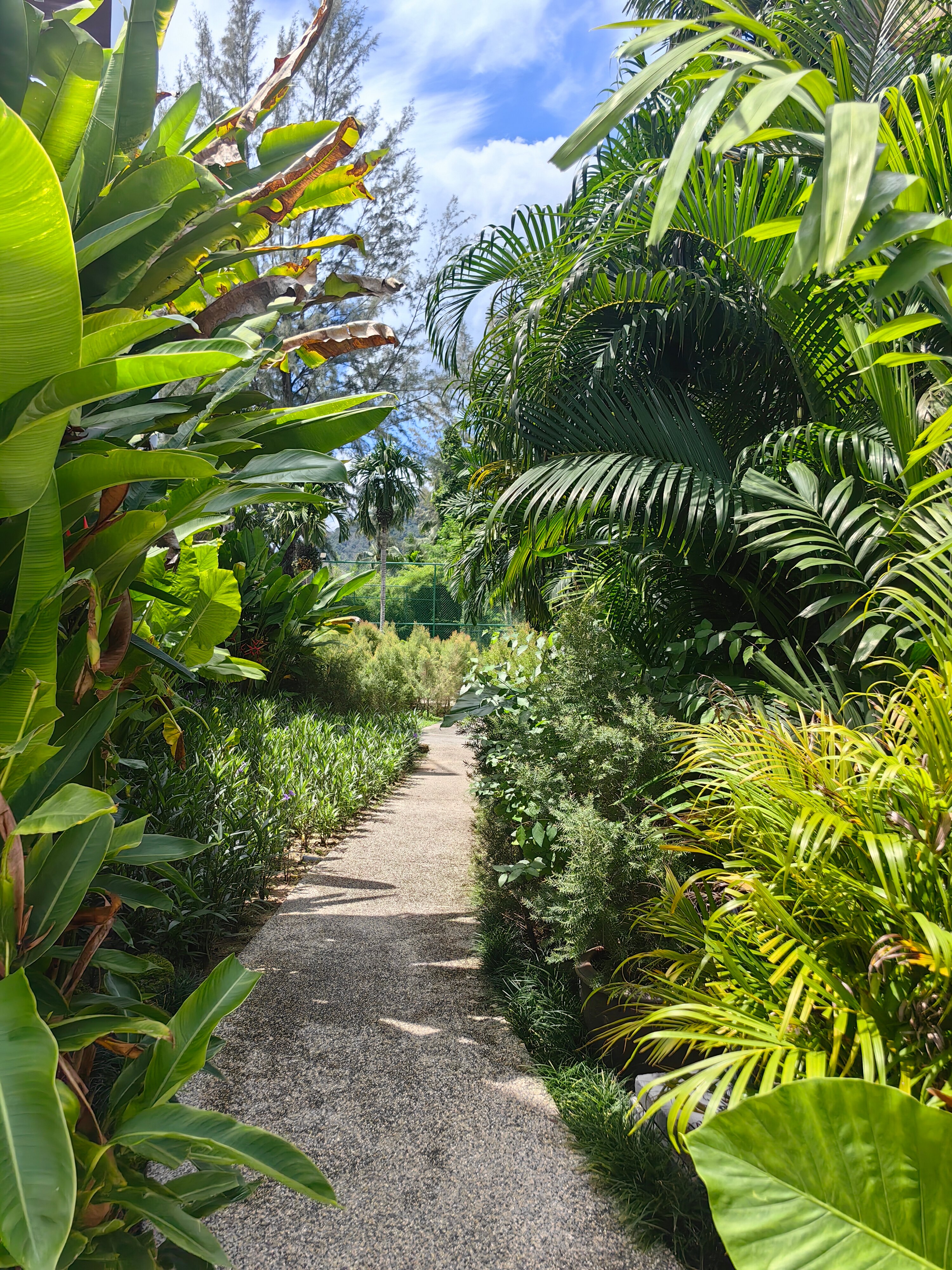 Фото Sunwing Kamala Beach