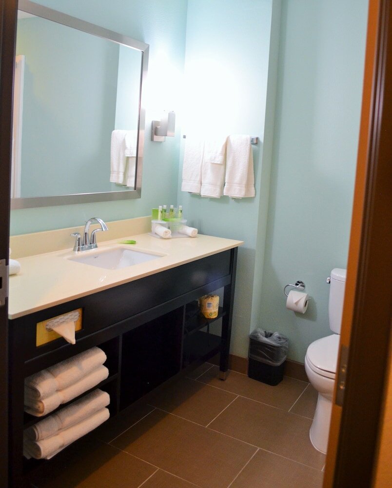 Фото Holiday Inn Express & Suites Austin South, an Ihg Hotel