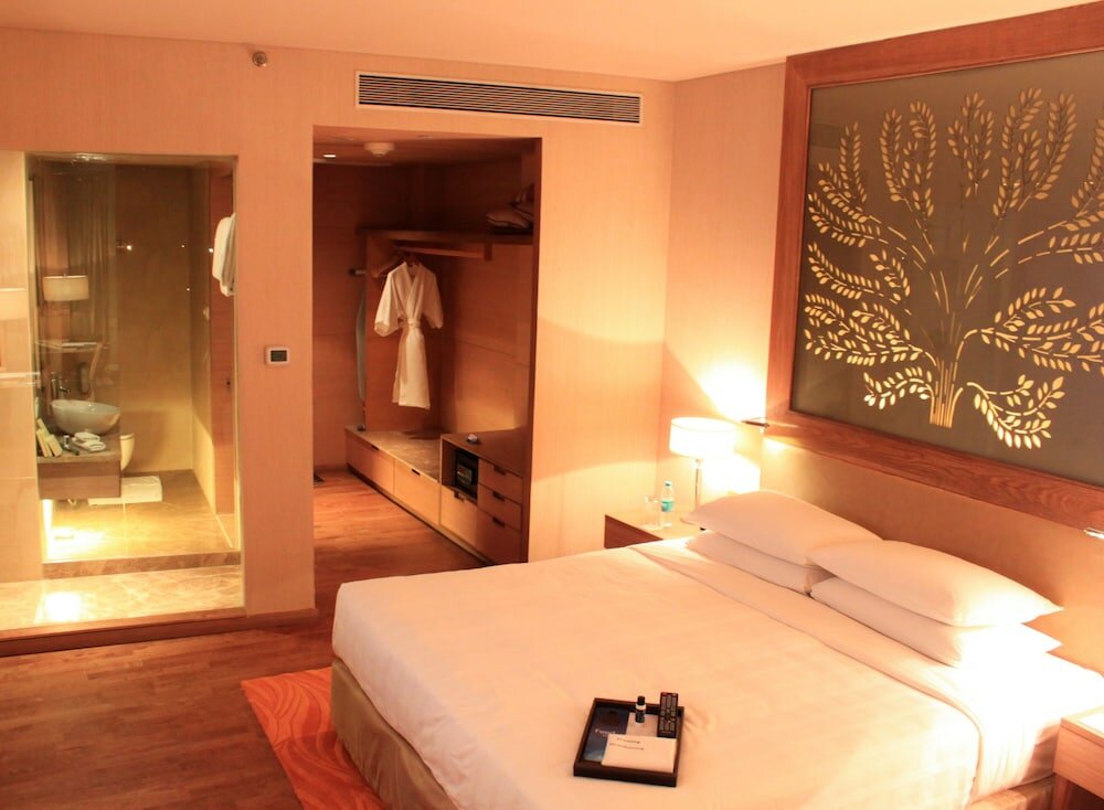 Фото Radisson Blu Hotel, New Delhi Dwarka