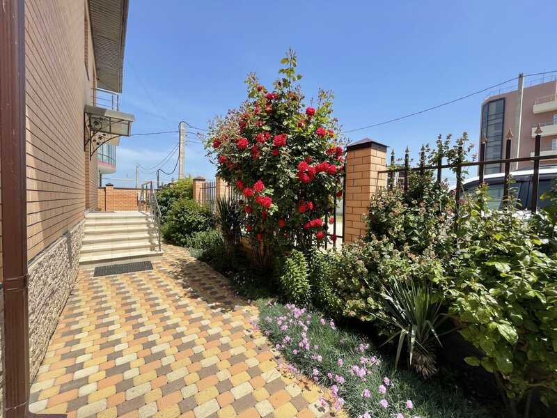 Фото Гиацинт