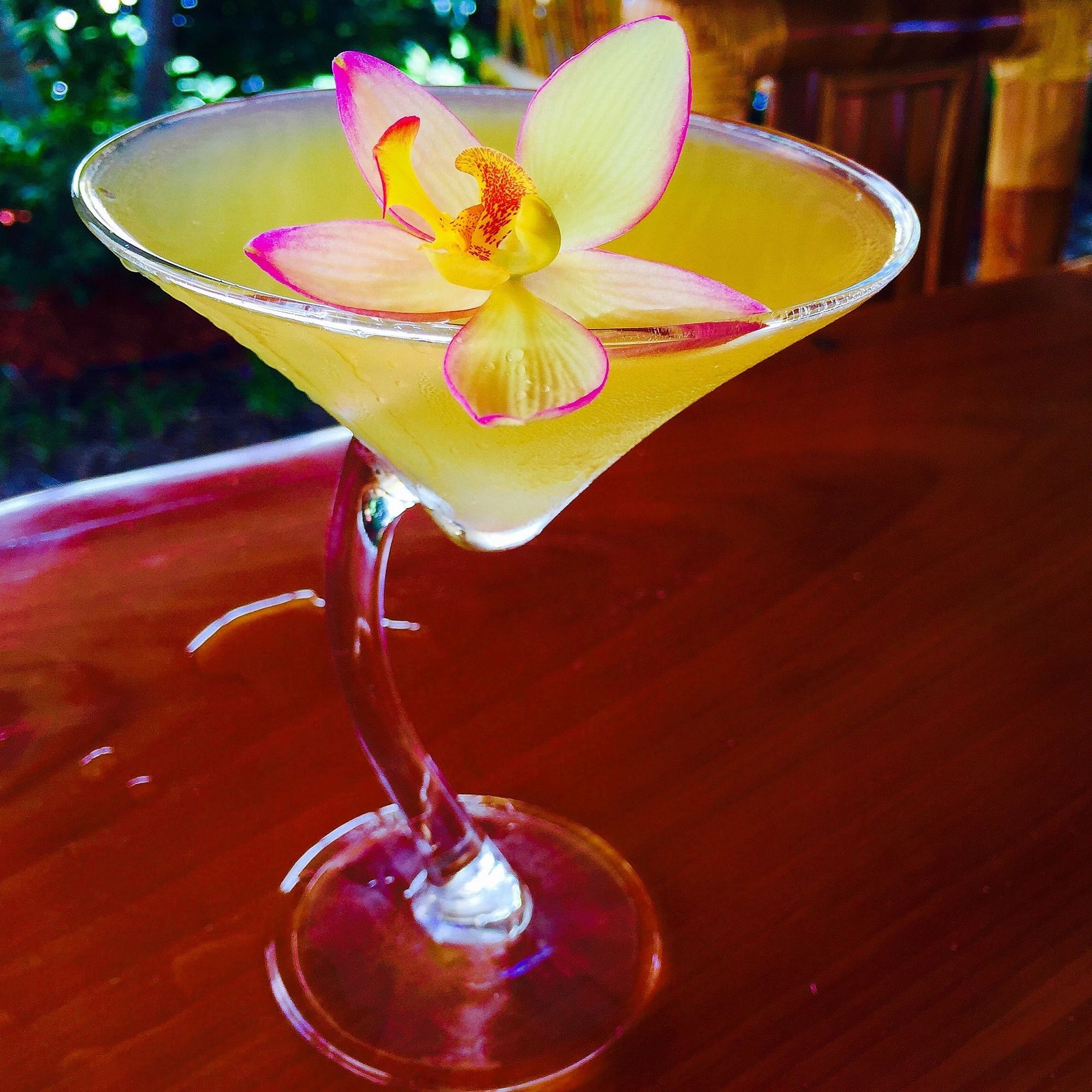 Фото Caribbean Resort by the Ocean