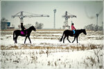 Volgogradsky Kazachy Konno-Sportivny Klub (Udmurtskaya Street, 19А), horse riding