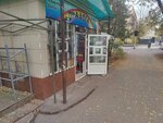 Vegetable and Fruit Store (Zhibek Zholy Avenue, 17/9), greengrocery