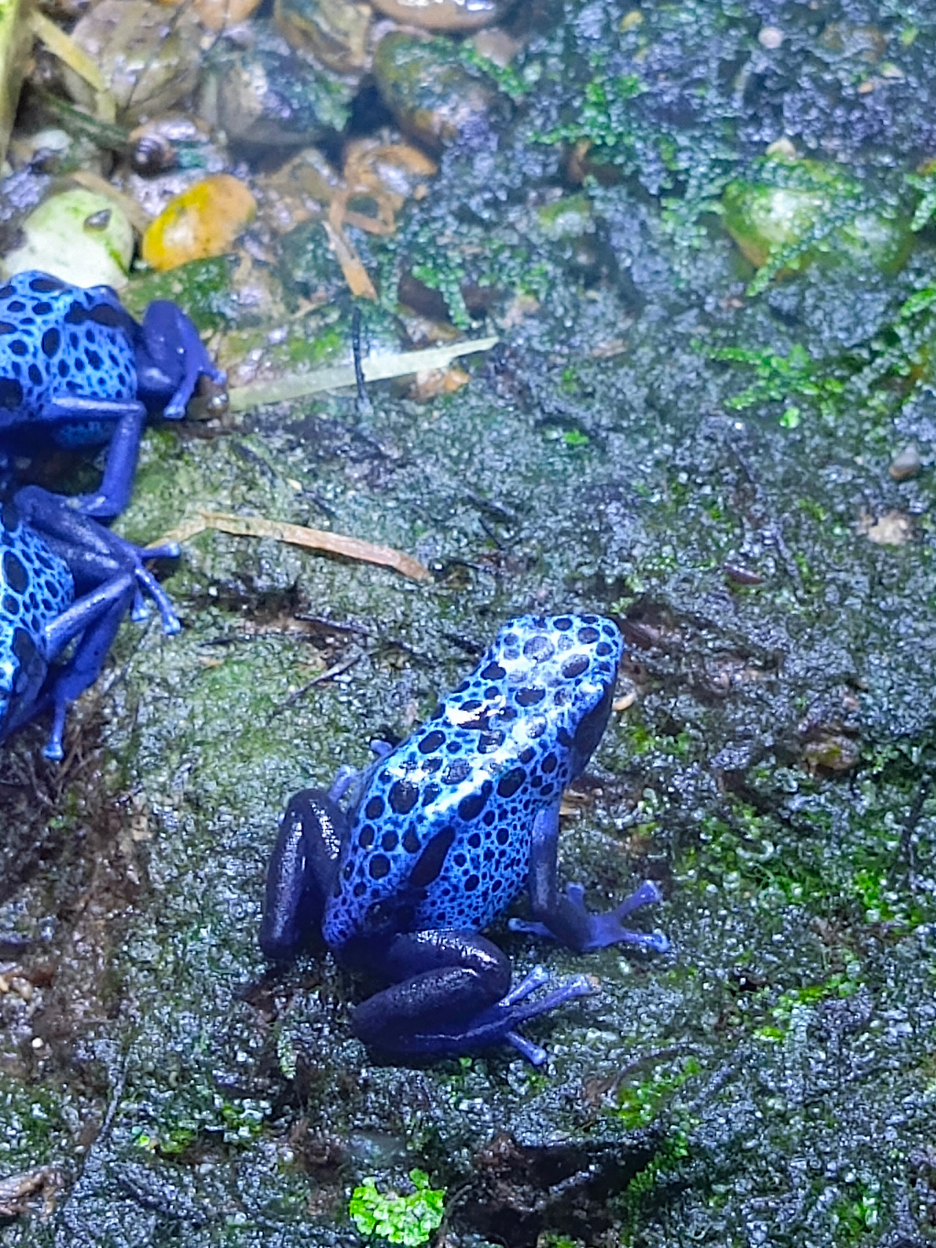 Фото Patong Resort