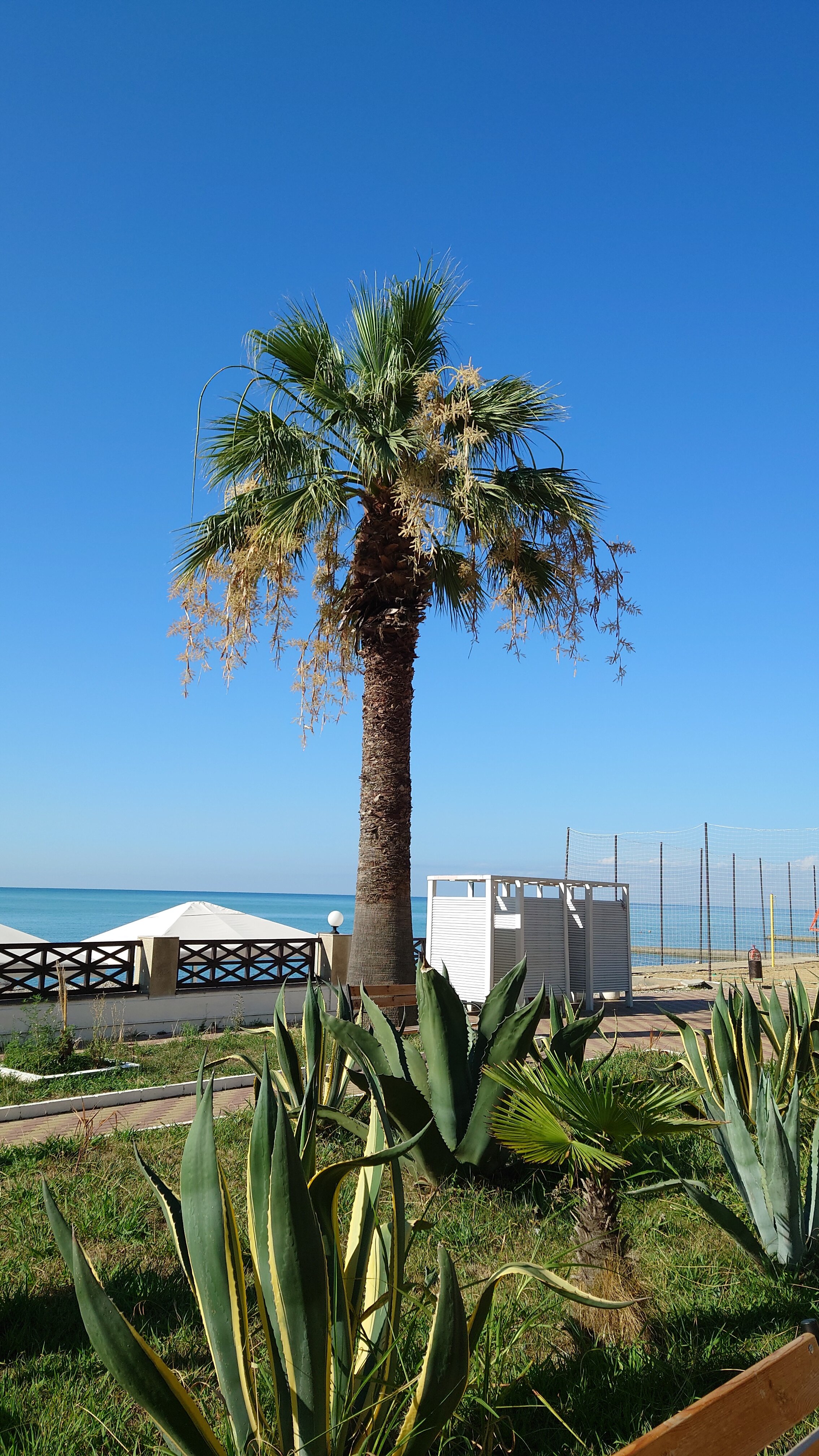 Фото Арт Отель