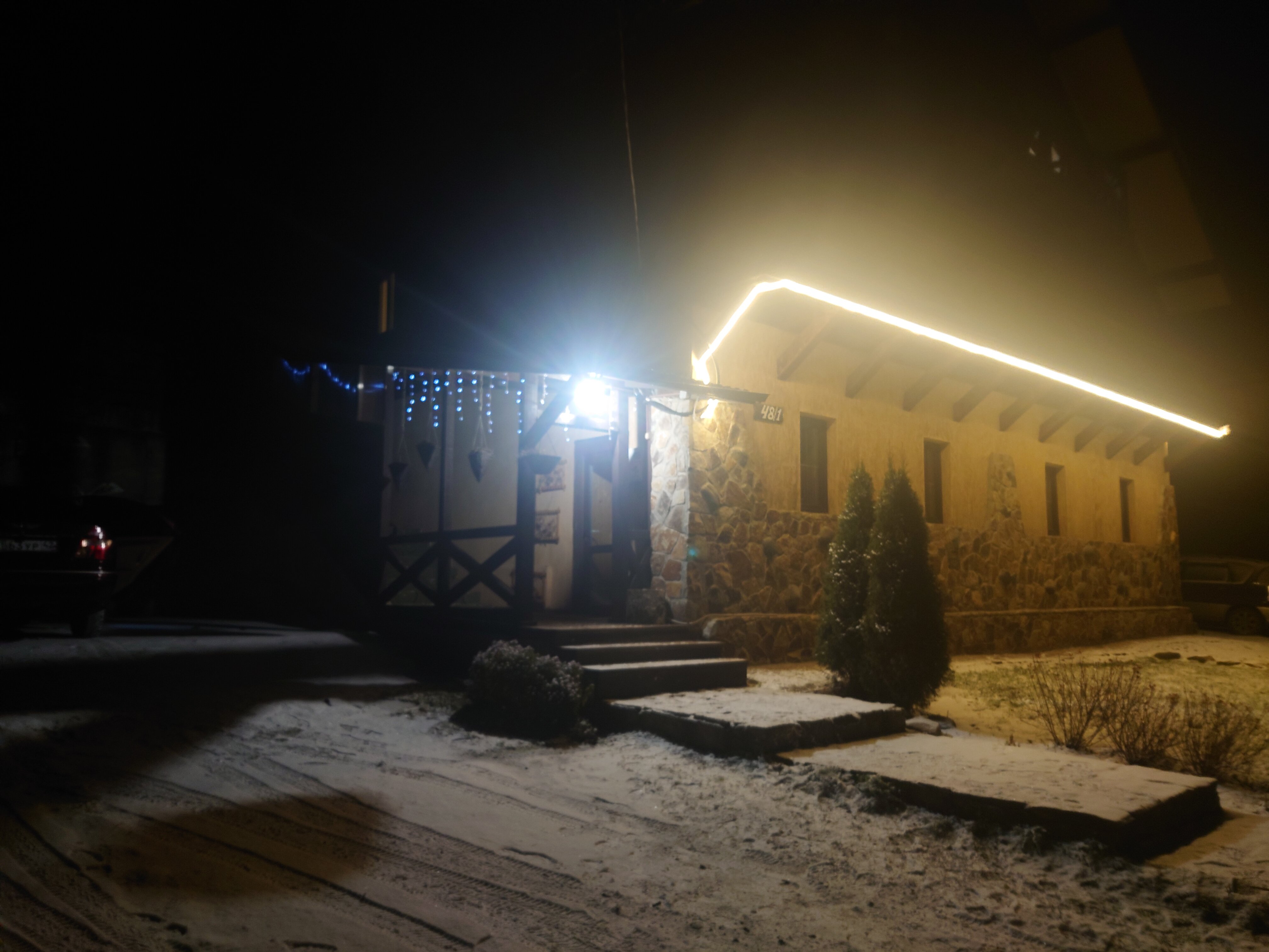 Фото Горная Пчела