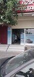 Ozum Motors (İstanbul, Zeytinburnu, Merkezefendi Mah., Sabri Ülker Sok., 25B) ، معدات الدراجات النارية وملحقاتها