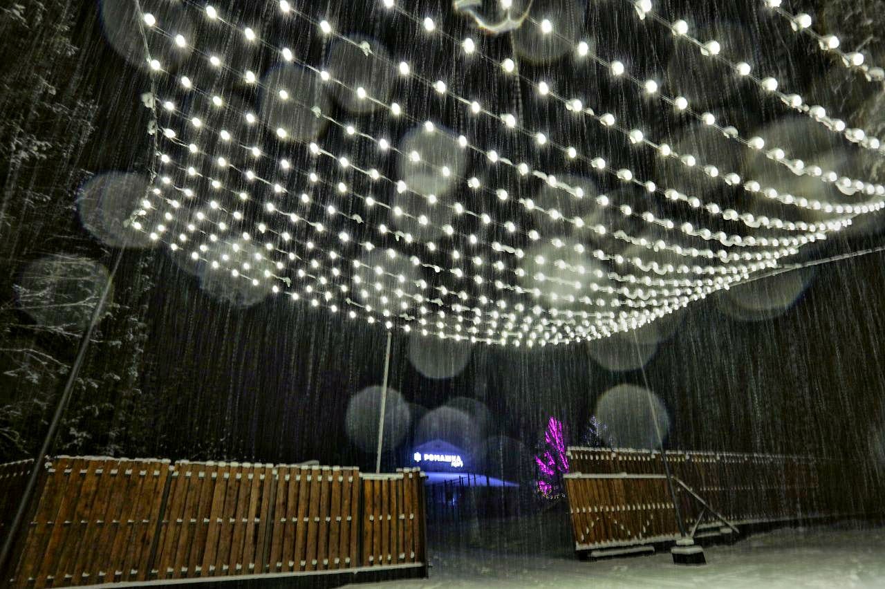 Фото Ромашка