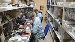 ExpressTex (Sretenka Street, 21/28с1), appliance repair