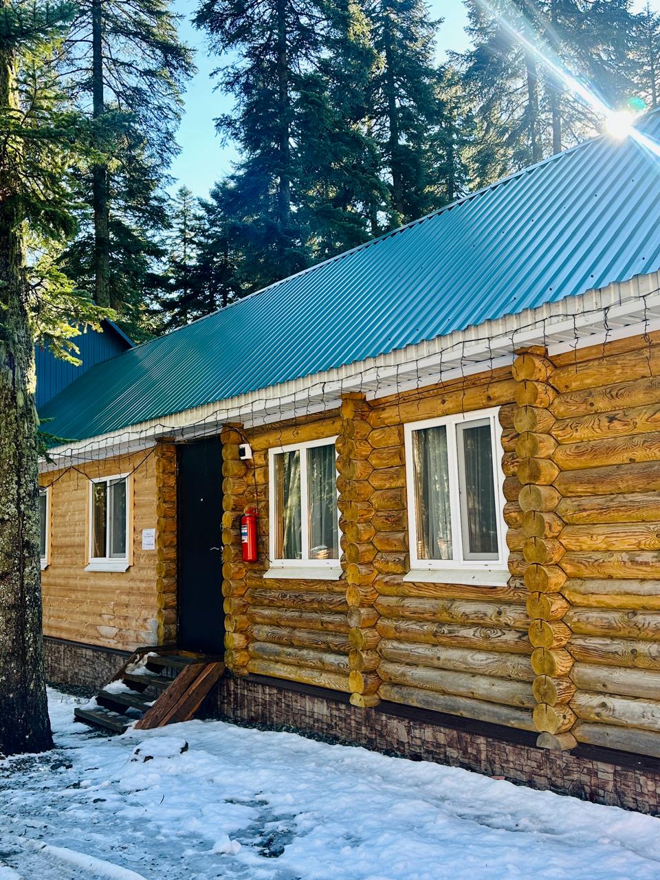 Фото Пихтовый парк