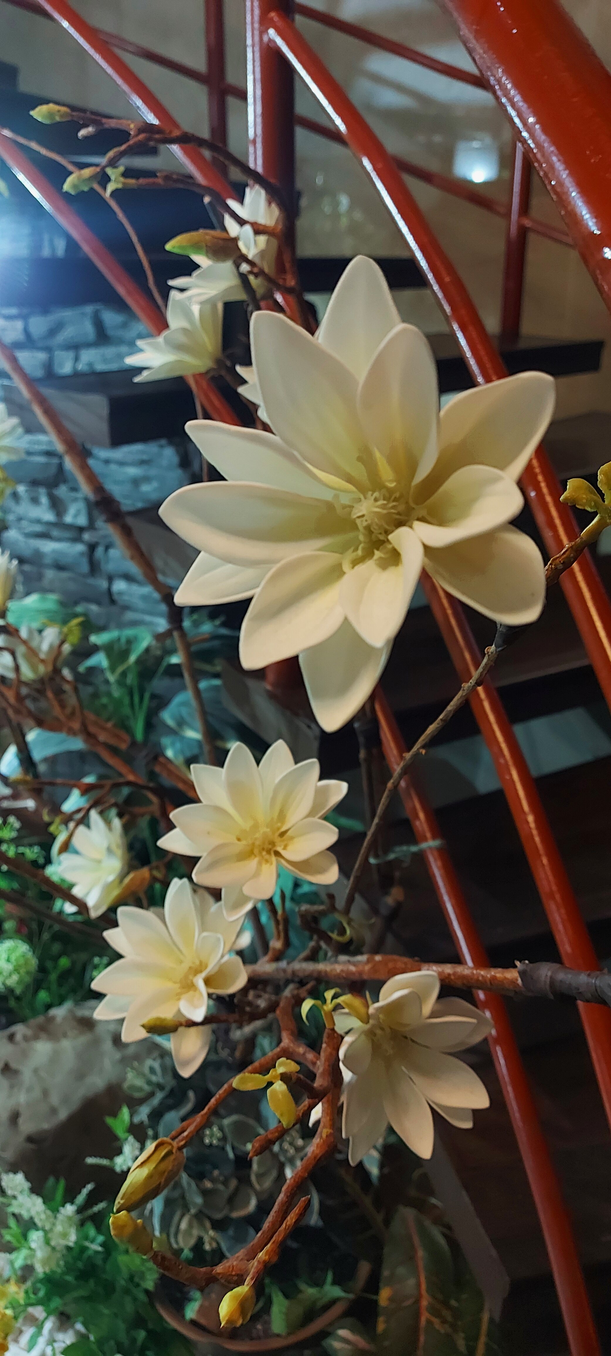 Фото Гагарин