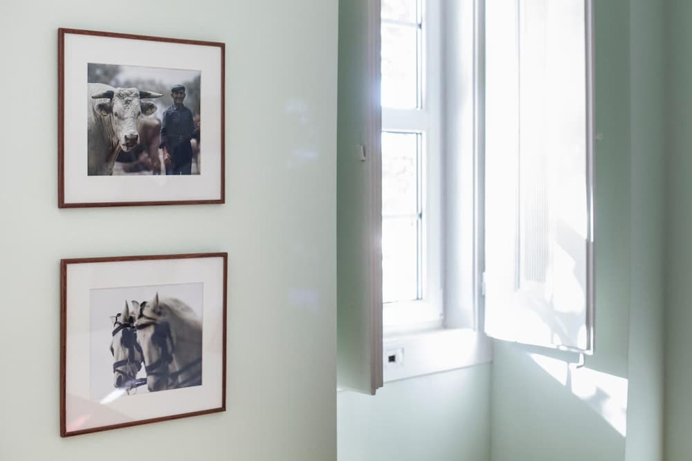 Фото Casa do Vinho Sintra Guest House