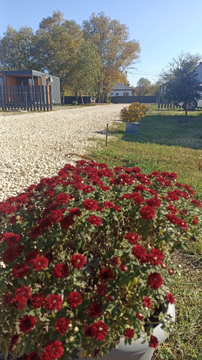 Фото Видисвет