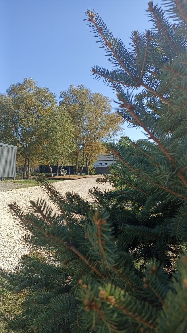 Фото Видисвет