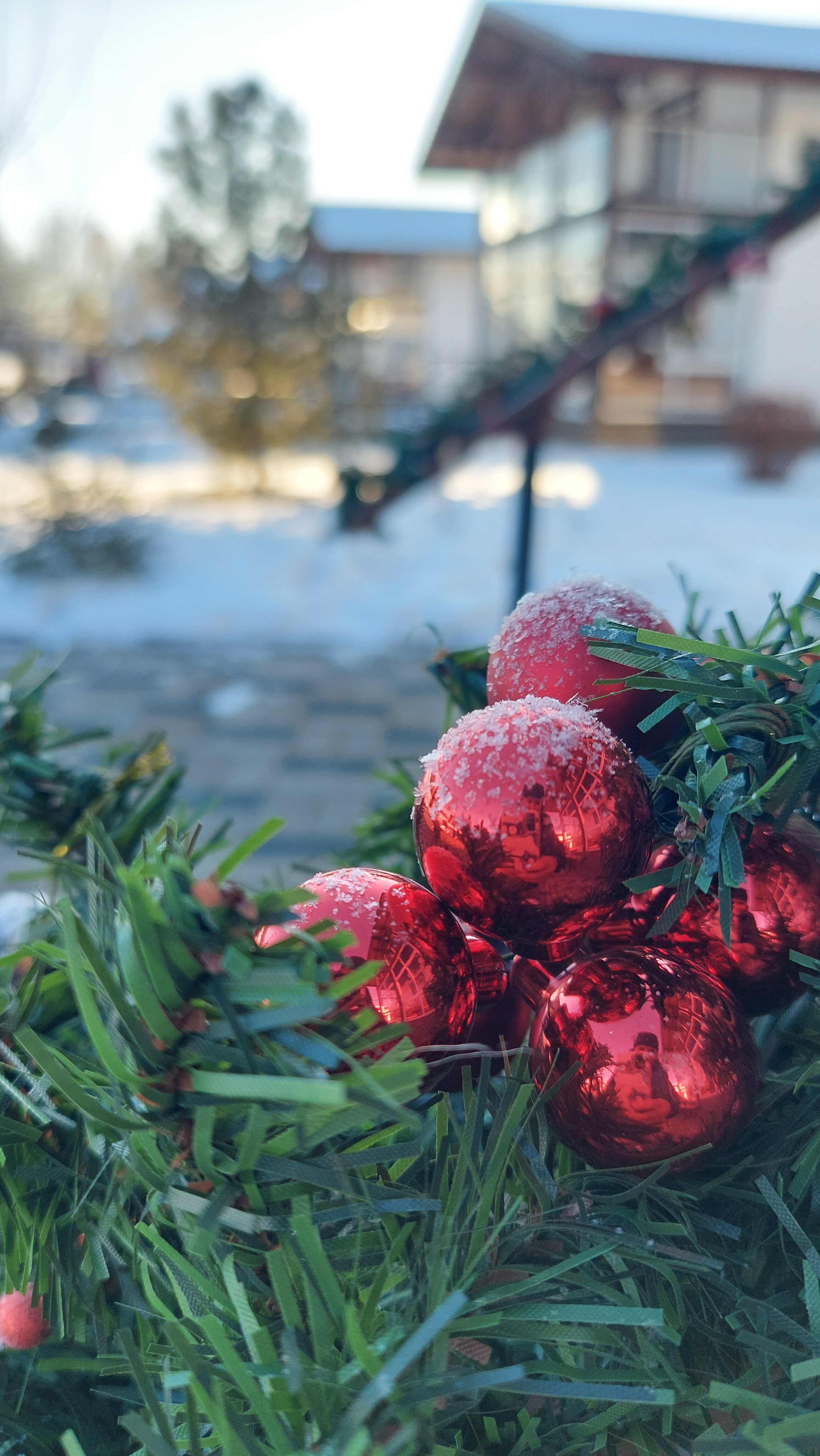 Фото Бабушкина дача