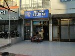 Narlidere Fish AV (İzmir, Narlıdere, Mithatpaşa Cad., 56B) ، لوازم صيد