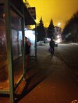 Улица Энгельса (Moscow Region, Voskresensk, Novlyansky Microdistrict, ulitsa Engelsa), parada de transporte público