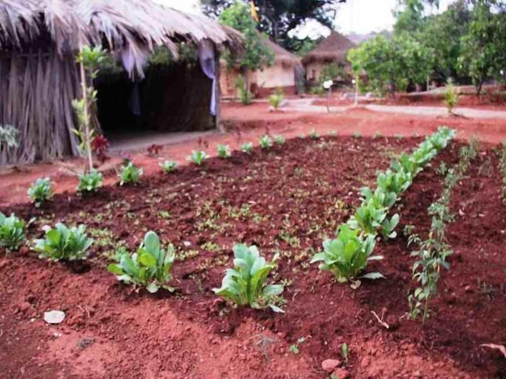 Фото Banyan Tree Yoga